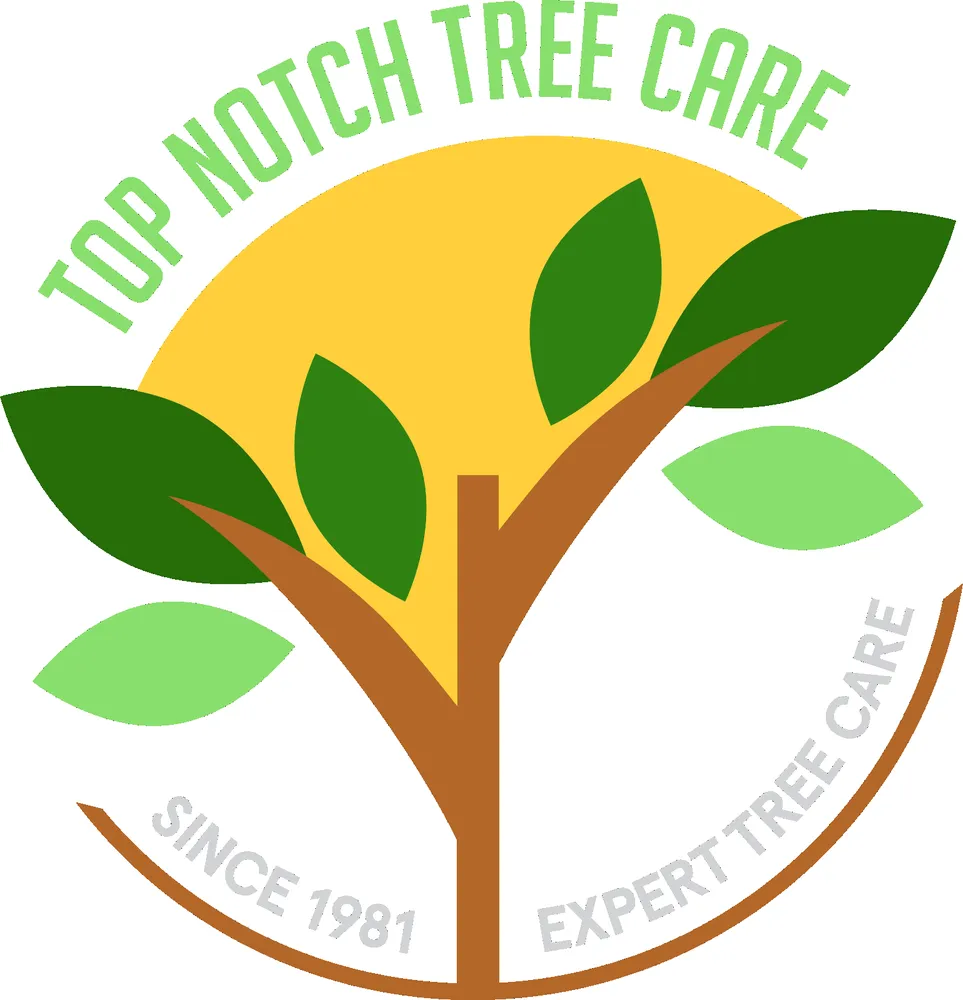 Top-rated lawn mowing service for year-round maintenance across Simi Valley, CA - Top Notch Tree Care