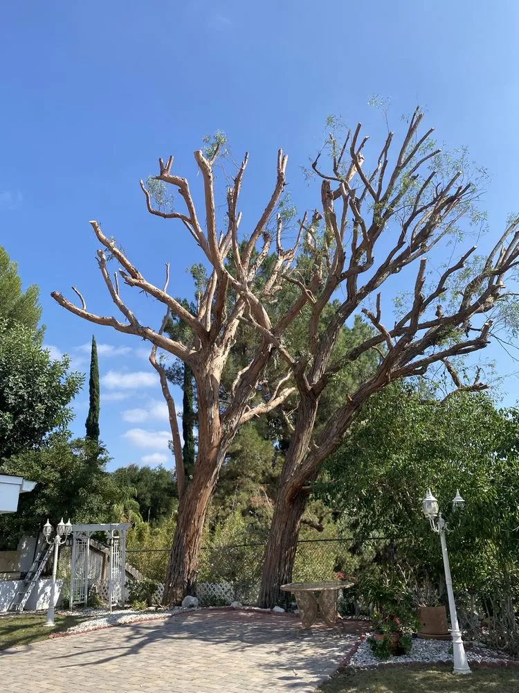 Top-rated garden landscaping experts serving Simi Valley, CA - Top Notch Tree Care