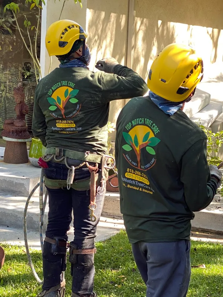 Professional yard cleanup service for residential properties across Simi Valley, CA - Top Notch Tree Care