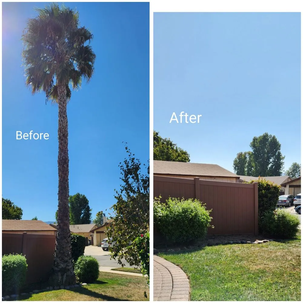Reliable landscaping services in Simi Valley, CA - Top Notch Tree Care