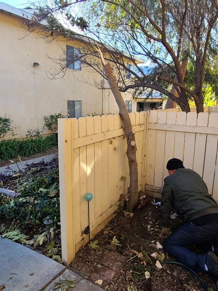 Trusted yard cleanup service experts serving Simi Valley, CA - Top Notch Tree Care
