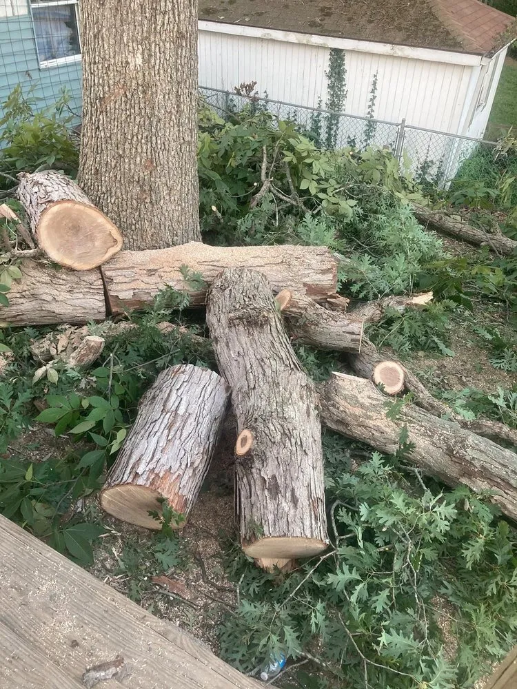 Affordable residential landscaping with custom design across Elmira, OR - Top Notch Tree Experts