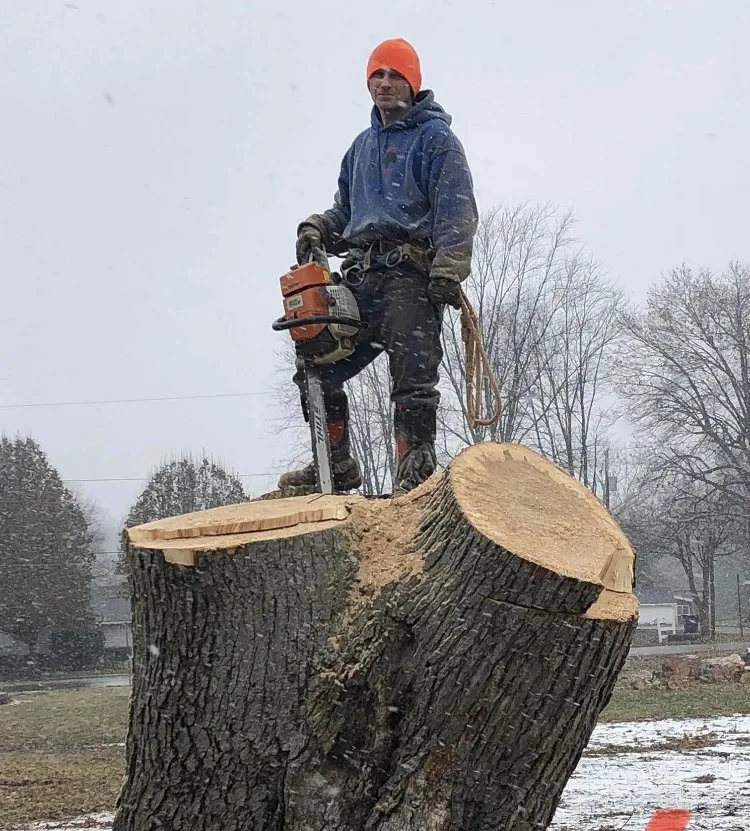 Reliable garden landscaping for beautiful yards in Elmira, OR by Top Notch Tree Experts