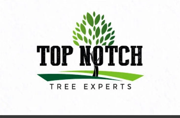 Professional garden landscaping for outdoor upgrades in Elmira, OR by Top Notch Tree Experts