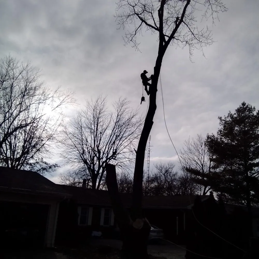 Affordable lawn mowing service in Elmira, OR - Top Notch Tree Experts