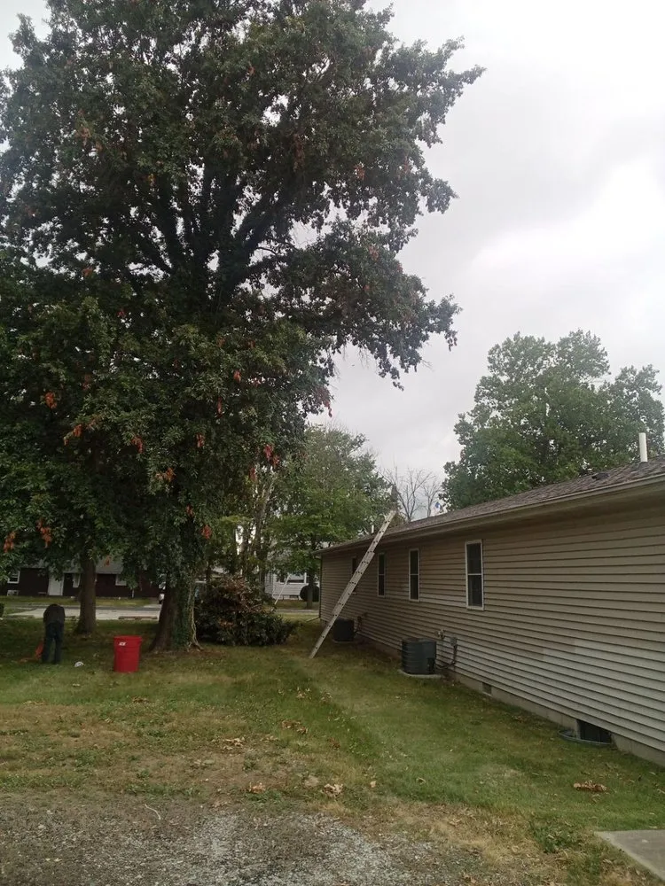 Expert landscape design in Elmira, OR - Top Notch Tree Experts