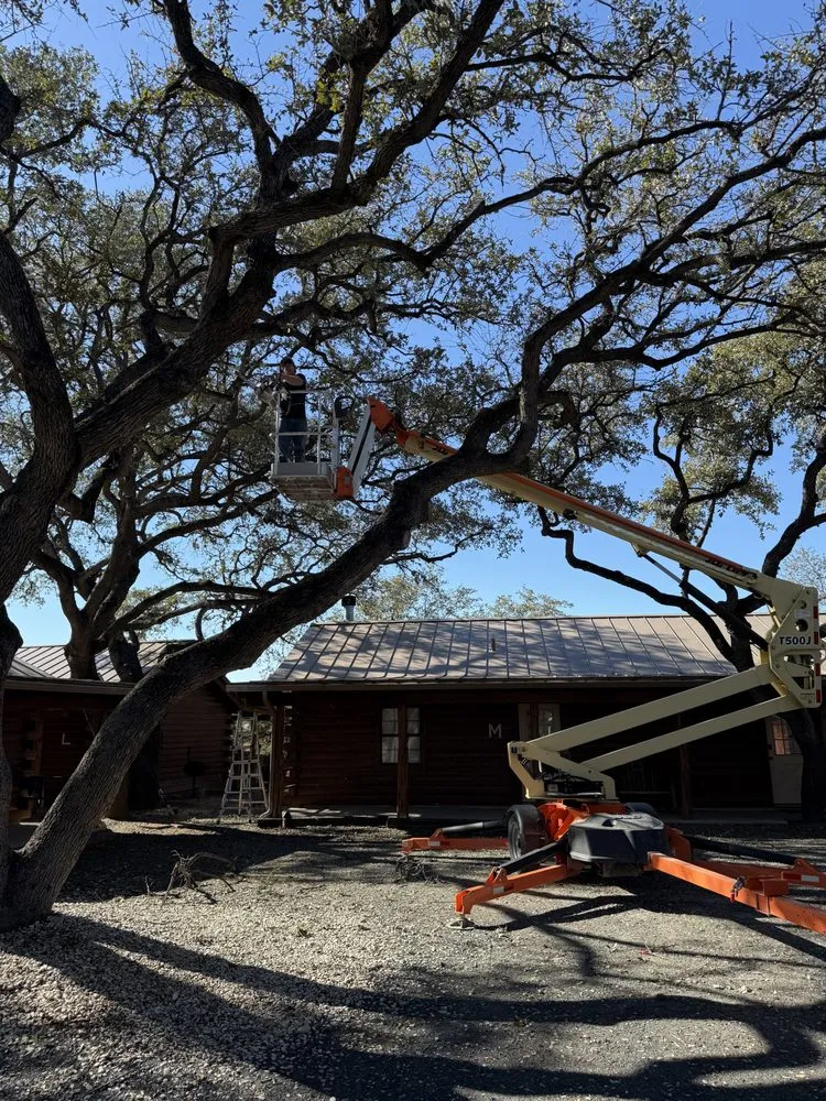 Local landscape installation experts serving Leakey, TX - Top Notch Tree Service & More