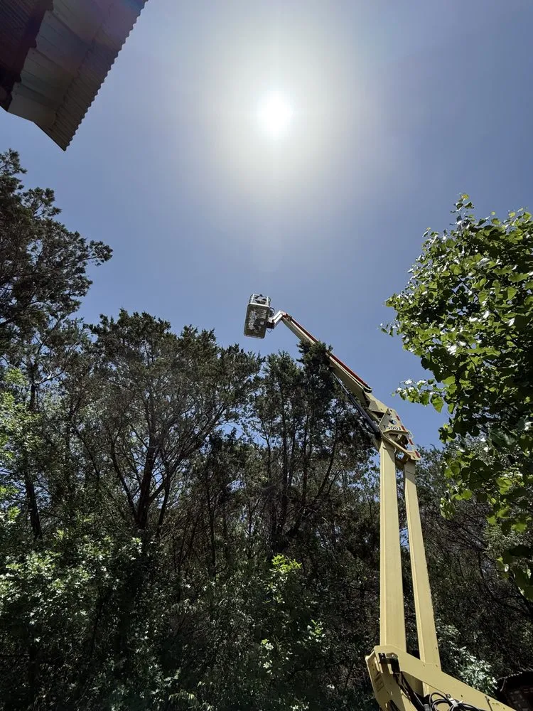 Expert outdoor landscaping experts serving Leakey, TX - Top Notch Tree Service & More