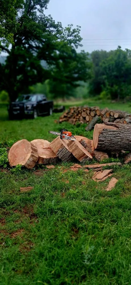 Top-rated garden landscaping experts serving Leakey, TX - Top Notch Tree Service & More
