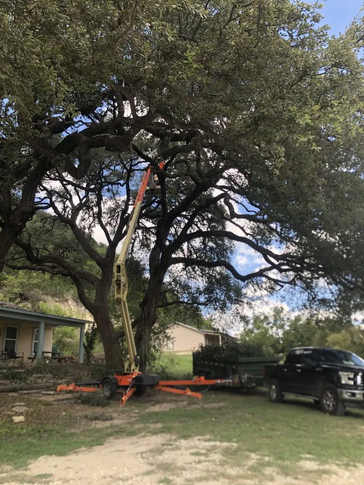 Trusted landscape design for beautiful yards across Leakey, TX - Top Notch Tree Service & More