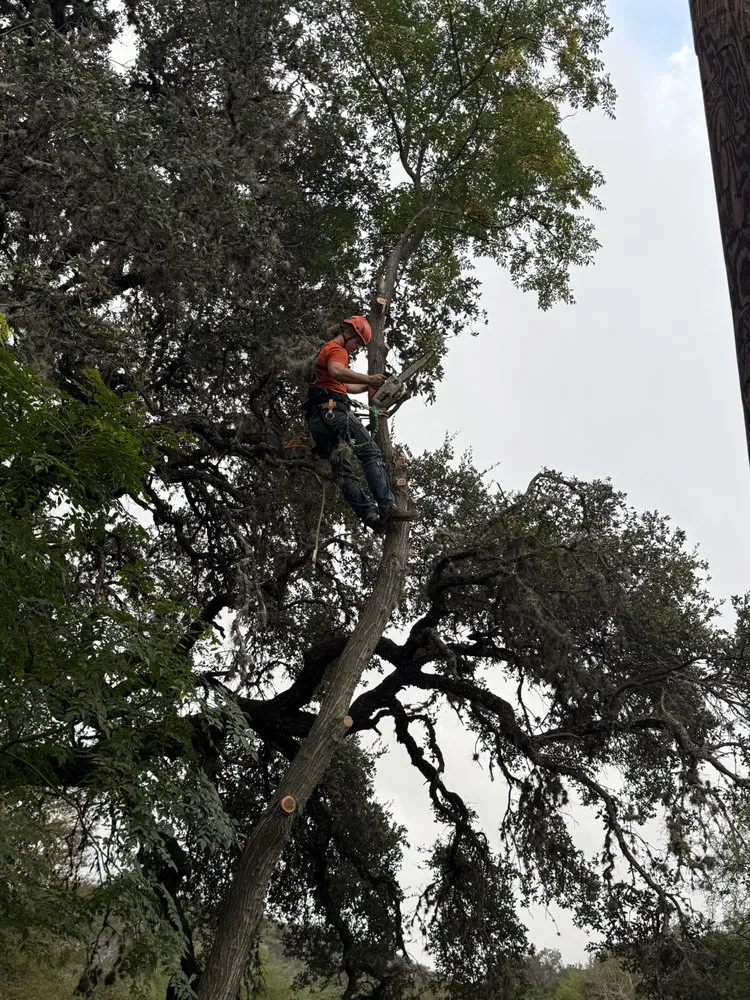 Reliable lawn care service for residential properties in Leakey, TX by Top Notch Tree Service & More