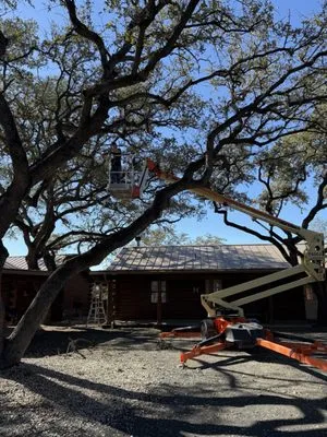Top Notch Tree Service & More