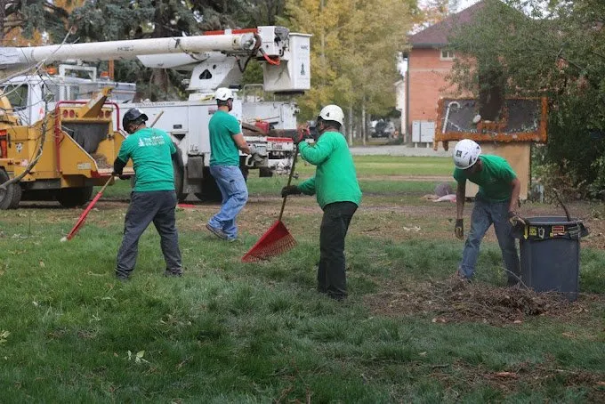 Professional landscape installation experts serving Milliken, CO - Top Notch Tree Service
