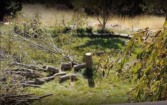 Reliable landscaping services for outdoor upgrades in Pocatello, ID by Top Notch Tree Service