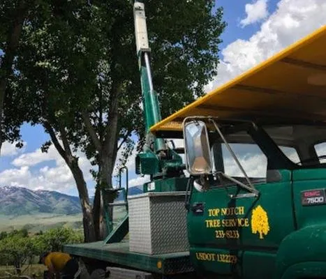 Custom landscape installation in Pocatello, ID - Top Notch Tree Service