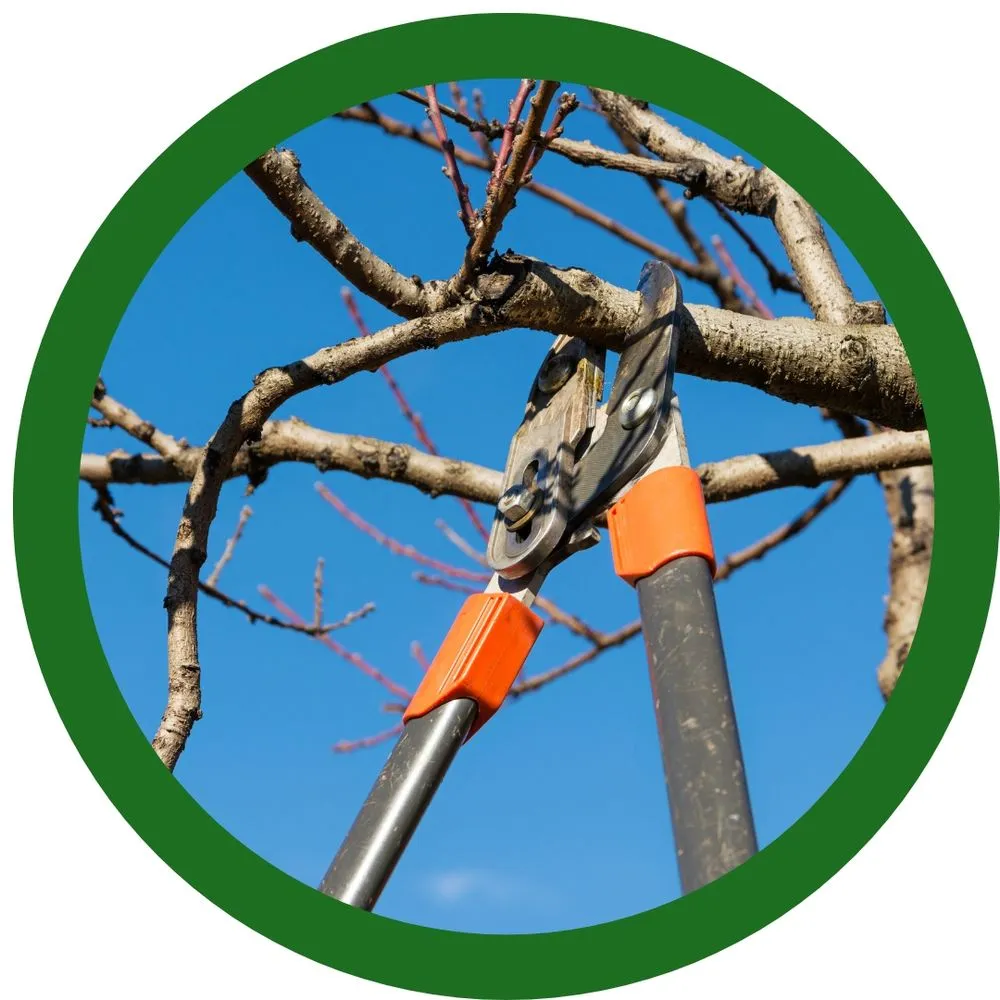 Reliable landscape design experts serving Pocatello, ID - Top Notch Tree Service
