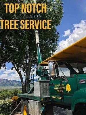 Professional landscaping services for outdoor upgrades in Pocatello, ID by Top Notch Tree Service