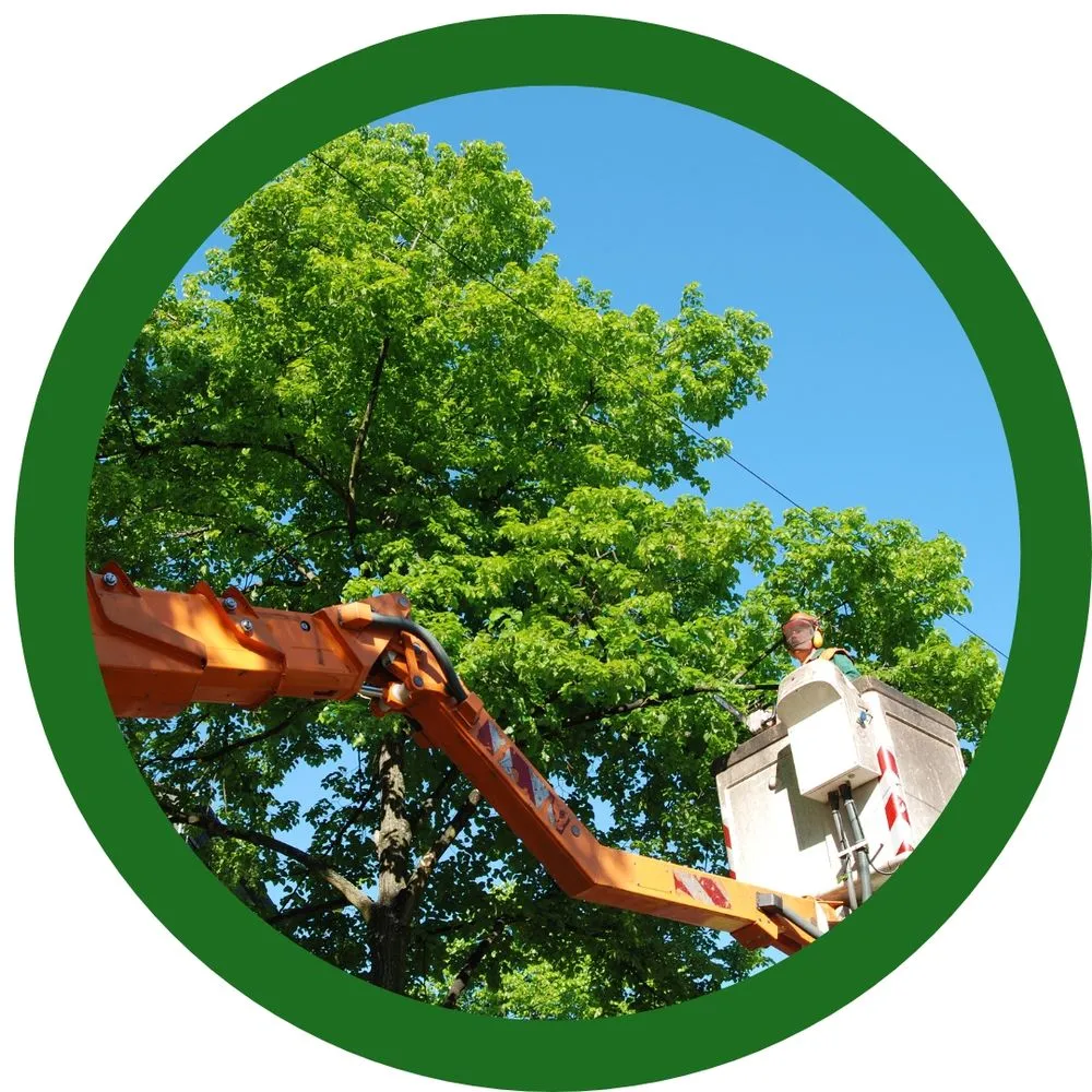 Trusted landscaping services in Pocatello, ID by Top Notch Tree Service