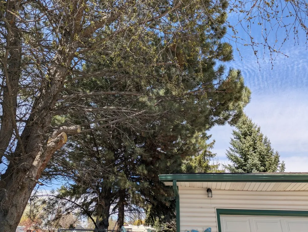 Reliable residential landscaping for beautiful yards in Pocatello, ID by Top Notch Tree Service