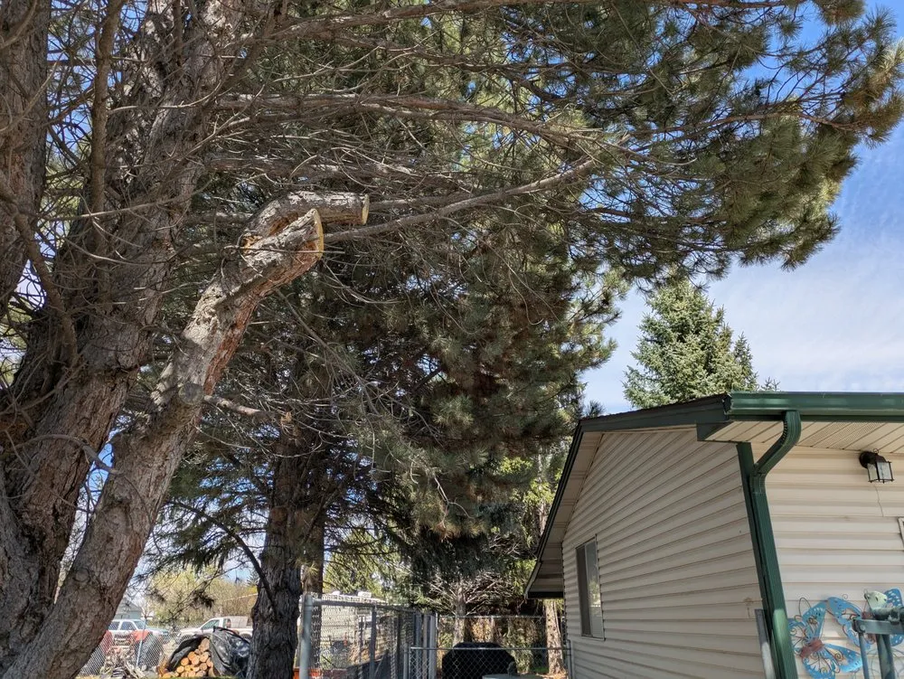 Custom landscape design for homes across Pocatello, ID - Top Notch Tree Service