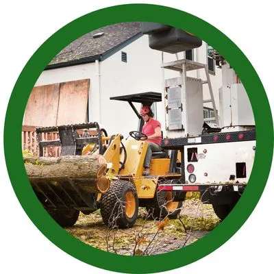 Top Notch Tree Service