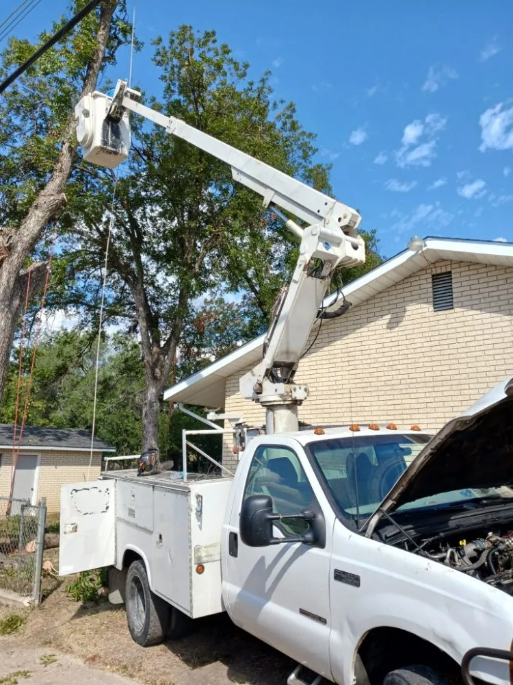 Top-rated garden landscaping in San Antonio, TX by Top Notch Tree Service