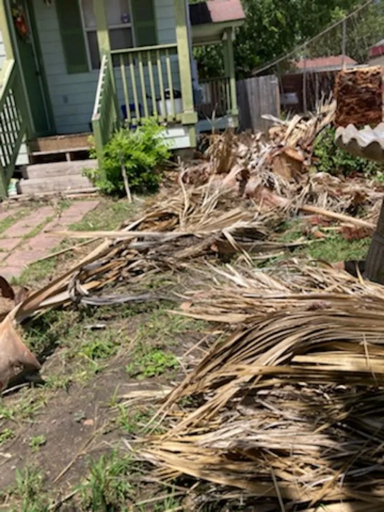 Expert garden landscaping in San Antonio, TX by Top Notch Tree Service