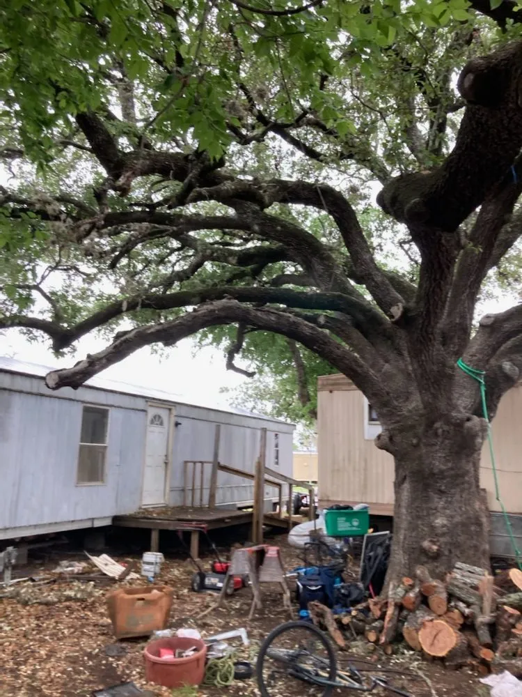 Trusted residential landscaping experts serving San Antonio, TX - Top Notch Tree Service