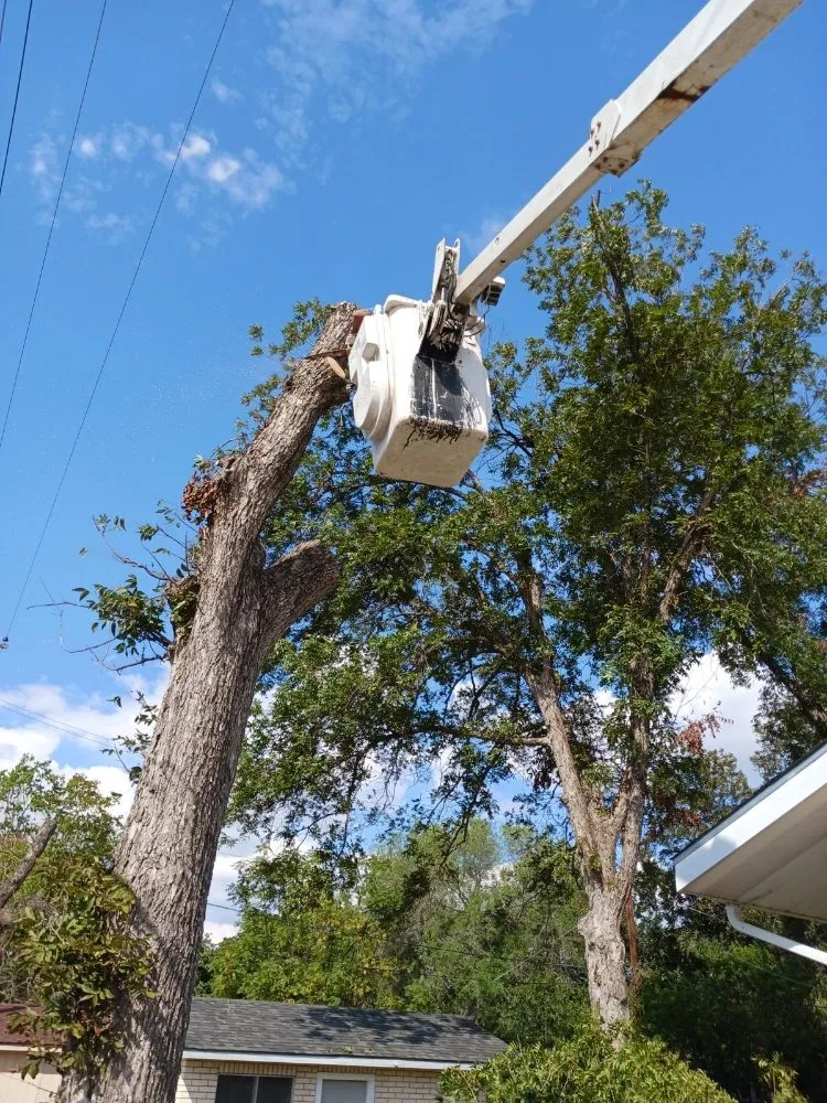 Professional garden landscaping in San Antonio, TX - Top Notch Tree Service
