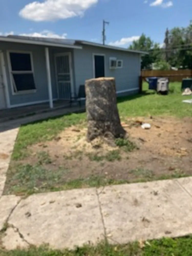 Professional landscape installation in San Antonio, TX by Top Notch Tree Service