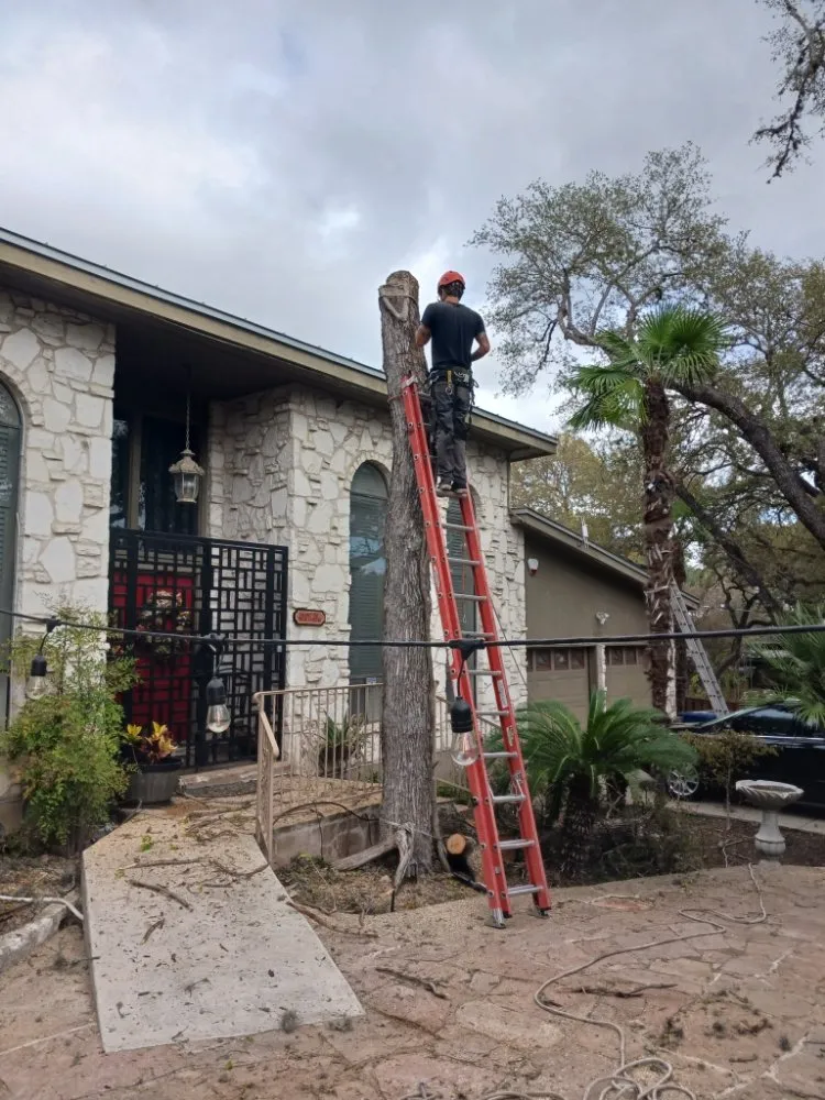 Affordable yard maintenance in San Antonio, TX - Top Notch Tree Service