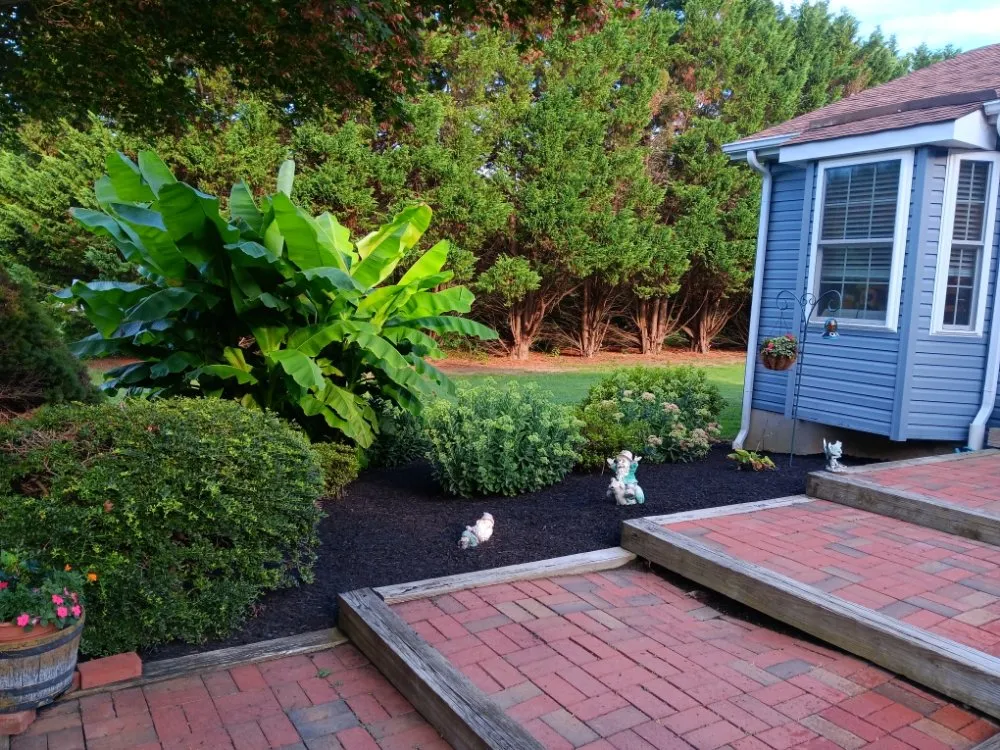 Custom lawn mowing service with custom design in Clayton, DE by Top Notch Tree Services