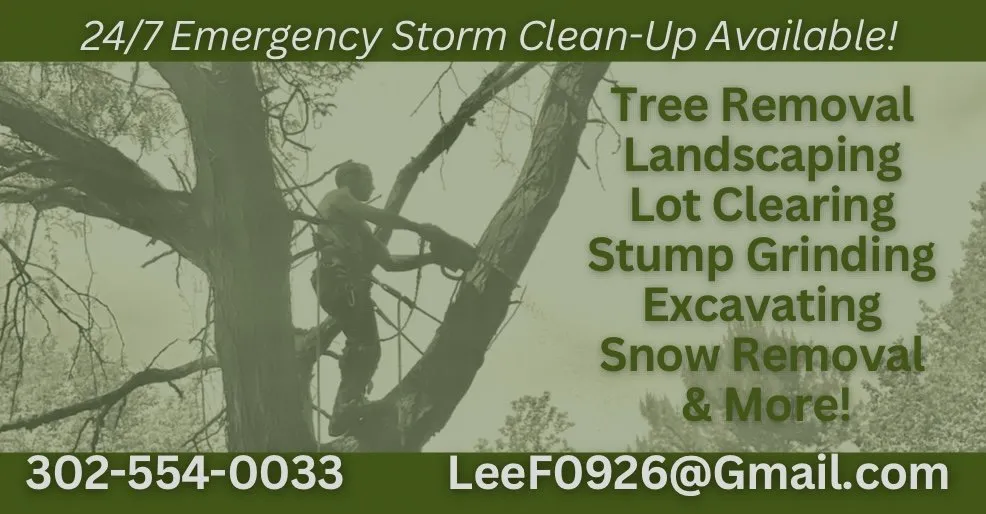 Reliable yard cleanup service for homes in Clayton, DE by Top Notch Tree Services