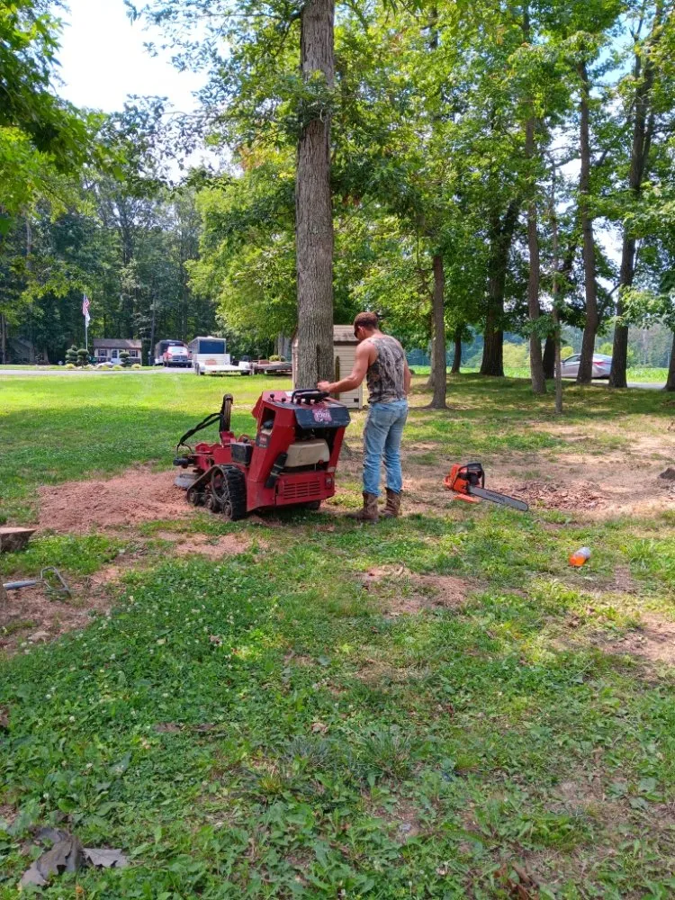 Local residential landscaping near you across Clayton, DE - Top Notch Tree Services