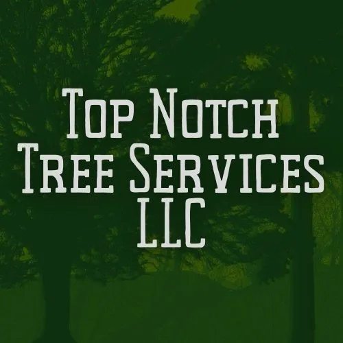Trusted yard maintenance experts serving Clayton, DE - Top Notch Tree Services