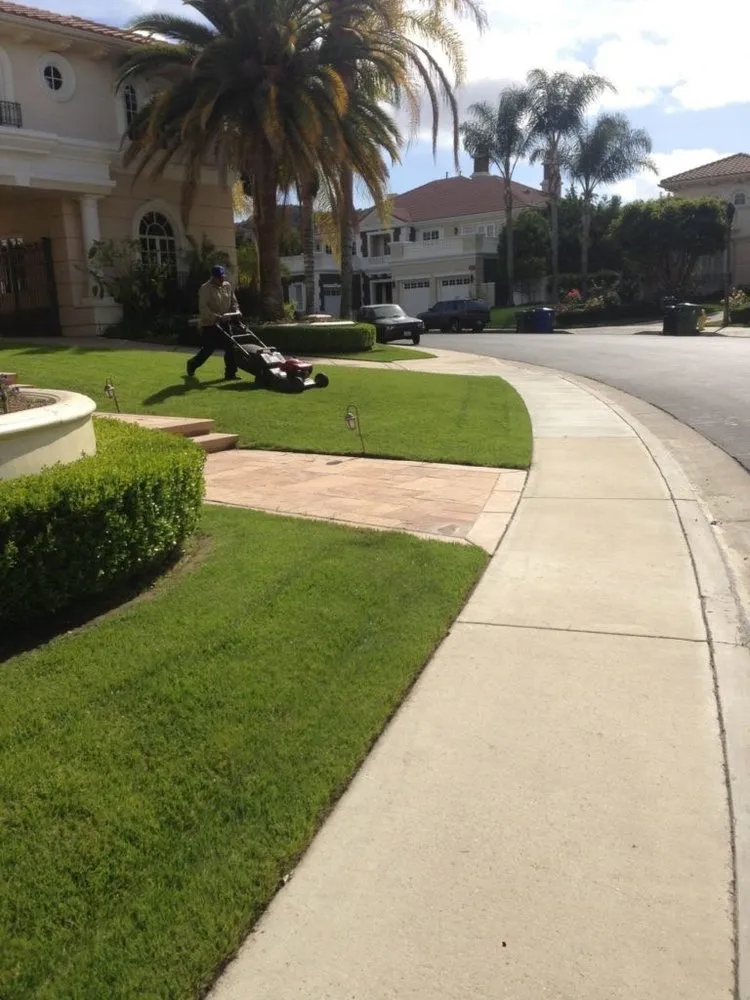 Top-rated garden landscaping for outdoor upgrades across Colton, CA - Top Notch Tree Services