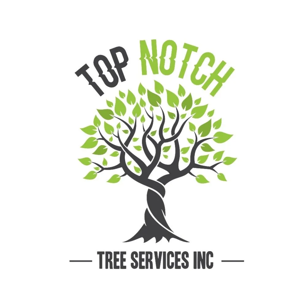 Trusted landscaping services experts serving Colton, CA - Top Notch Tree Services