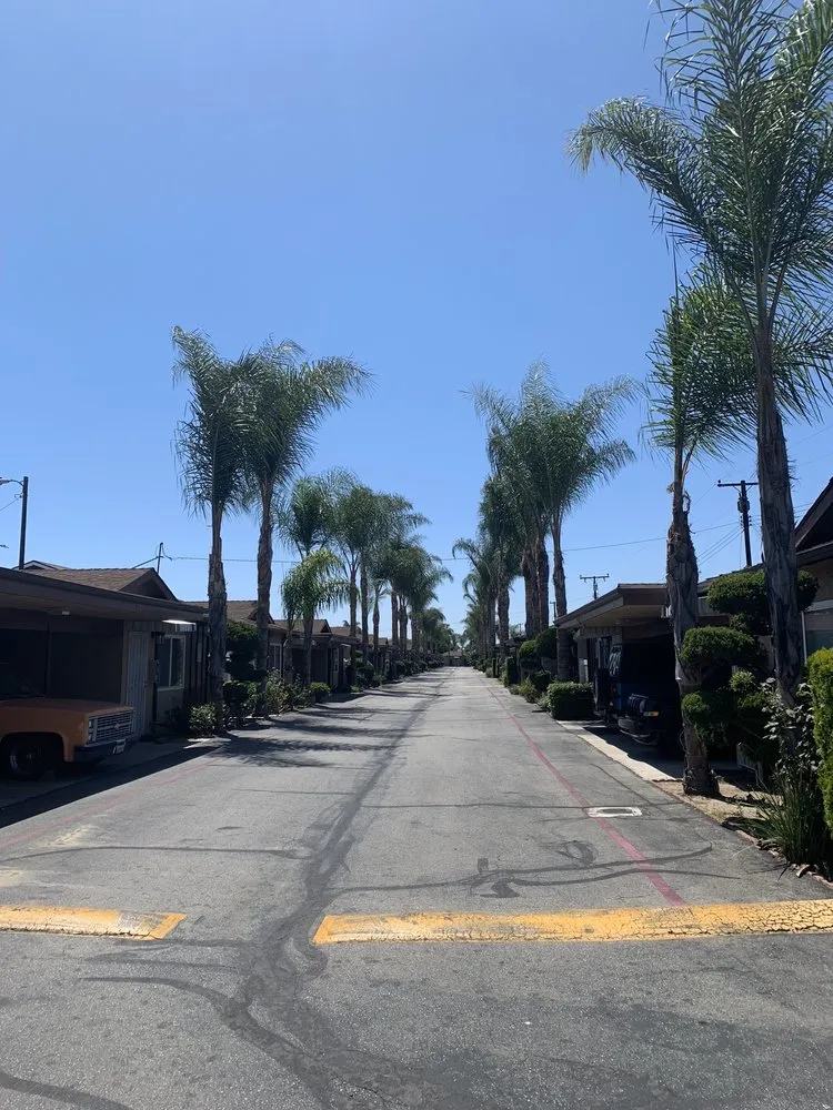 Local garden landscaping experts serving Colton, CA - Top Notch Tree Services