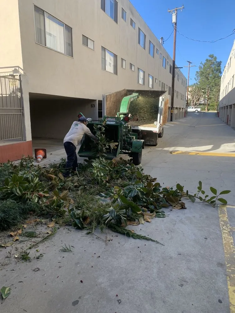 Local garden landscaping experts serving Colton, CA - Top Notch Tree Services