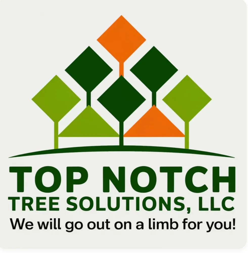 Top-rated lawn care service near you across Bloomingdale, GA - Top Notch Tree Solutions