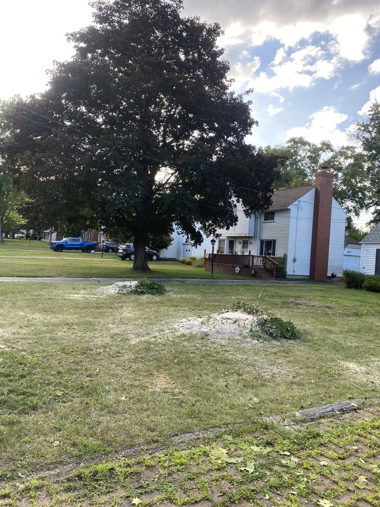 Local yard maintenance for beautiful yards in Salem, OH by Top Notch Trees