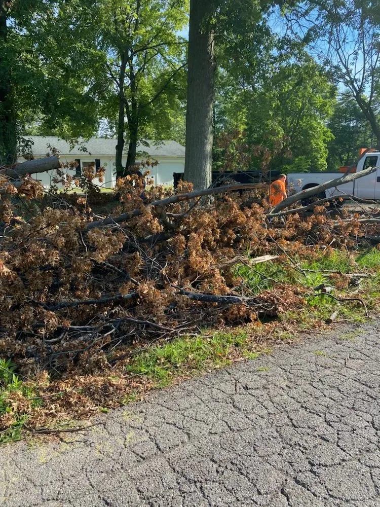 Reliable lawn care service in Salem, OH - Top Notch Trees