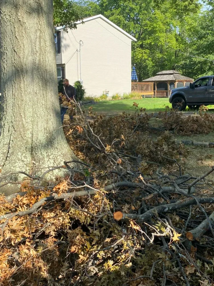 Local landscape installation with custom design in Salem, OH by Top Notch Trees