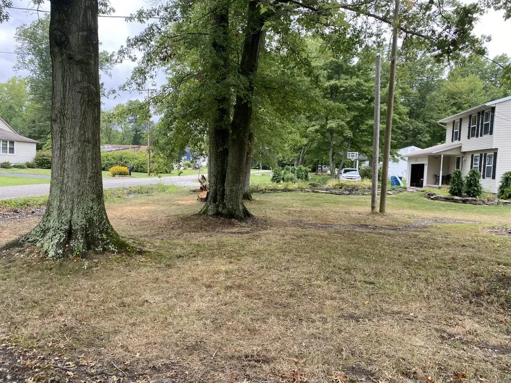 Affordable lawn mowing service for outdoor upgrades in Salem, OH by Top Notch Trees