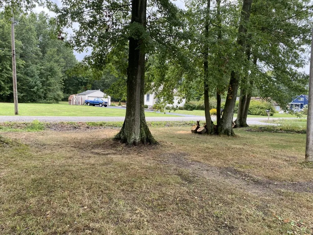 Expert landscape design for outdoor upgrades in Salem, OH by Top Notch Trees