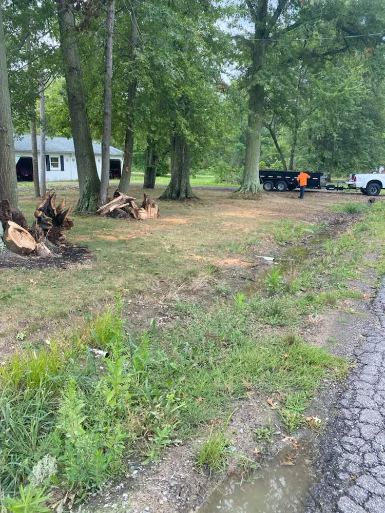 Top-rated landscape design in Salem, OH by Top Notch Trees