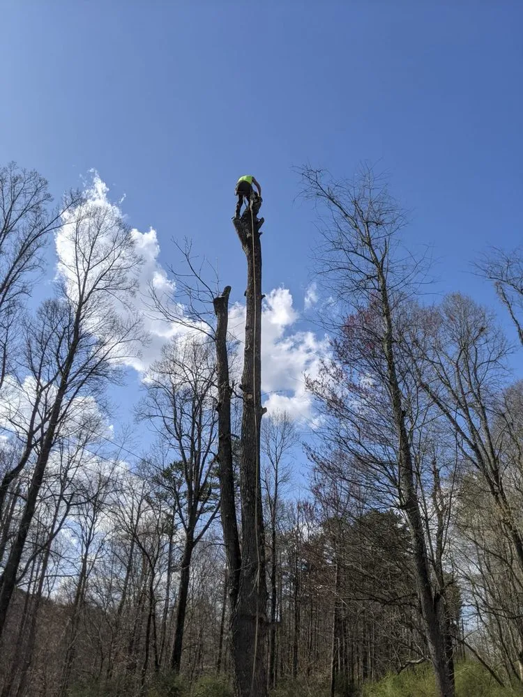 Custom landscape design for outdoor upgrades in London, KY by Top Notch Trimming & Property Management