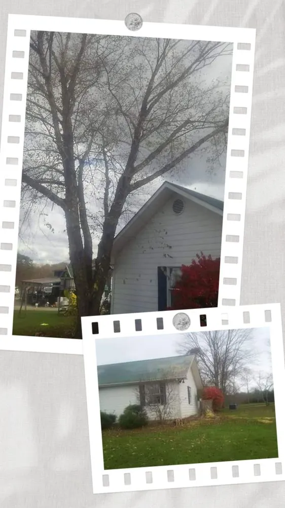 Trusted yard cleanup service in London, KY by Top Notch Trimming & Property Management