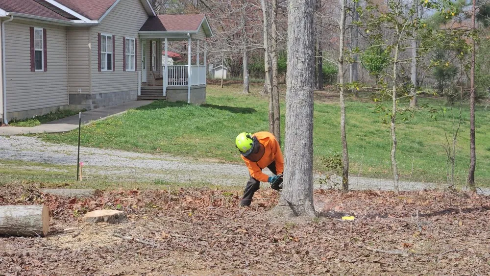 Trusted residential landscaping in London, KY by Top Notch Trimming & Property Management