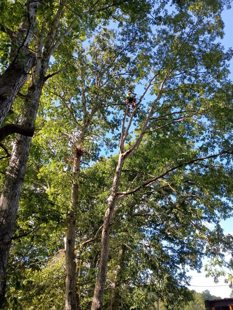 Trusted landscaping services with custom design across London, KY - Top Notch Trimming & Property Management